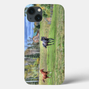 Kastanienpferd Auf einer Ranch einen schwarzen Sta Case-Mate iPhone Hülle
