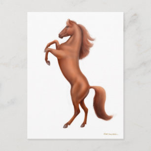 Kastanienpferd Aufzuchten Postkarte