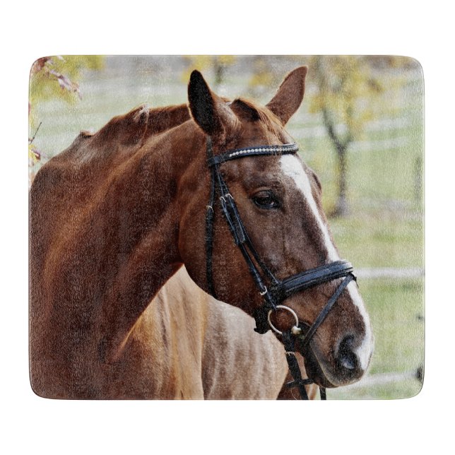 Kastanienpferd mit Blaze, Bridle, in Weide Schneidebrett (Vorderseite)