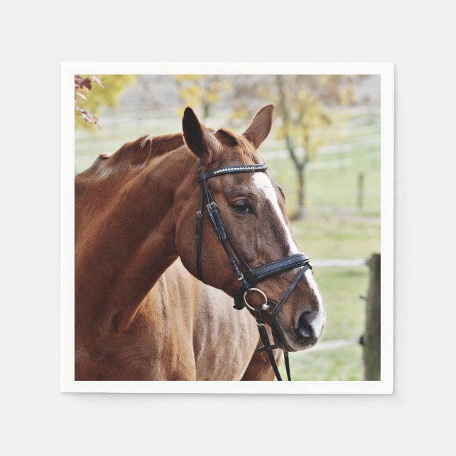 Kastanienpferd mit Blaze, Bridle, in Weide Serviette (Vorderseite)