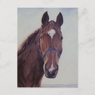 Kastanienpferd mit White Star Postkarte