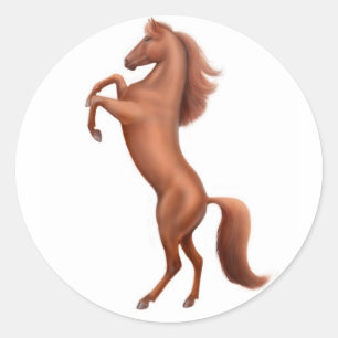 Kastanienpferd w sig runder aufkleber