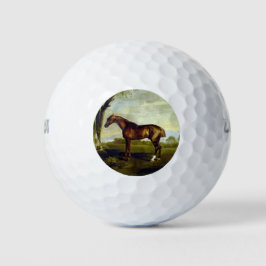 Kastanienrutsche in einer Landschaft (George Stubb Golfball