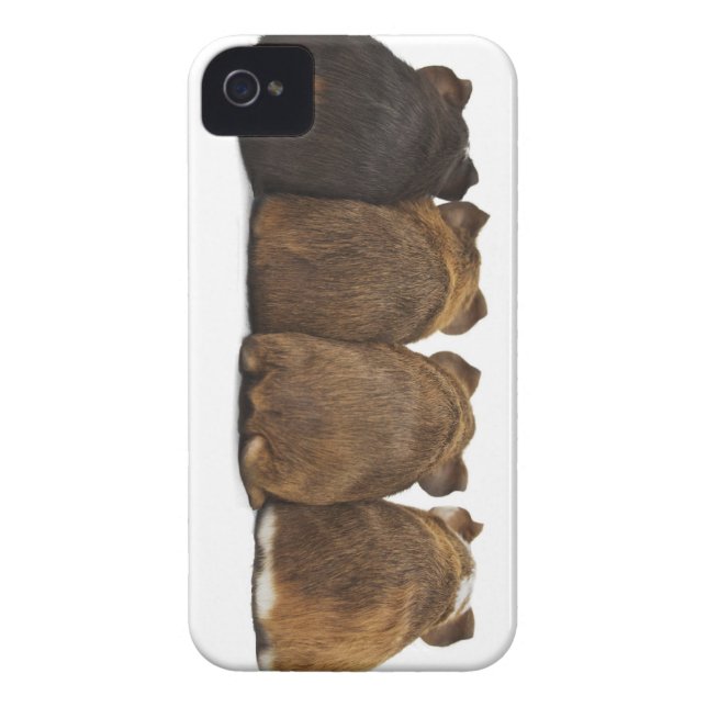Kasten der Meerschweinchen-Hintern Iphone4 Case-Mate iPhone Hülle (Rückseite)