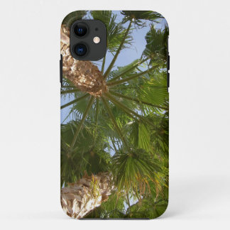 Kasten der Palme-iPhone5 Case-Mate iPhone Hülle