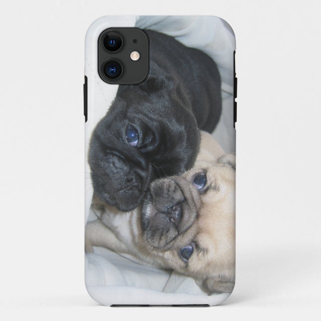 Kasten mit zwei Möpse Case-Mate iPhone Hülle (Rückseite)