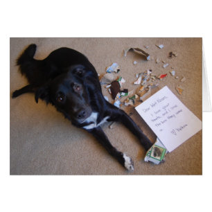 Kasten. Status == zerstört