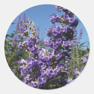 Kastenbaum Purple Blumen Runder Aufkleber
