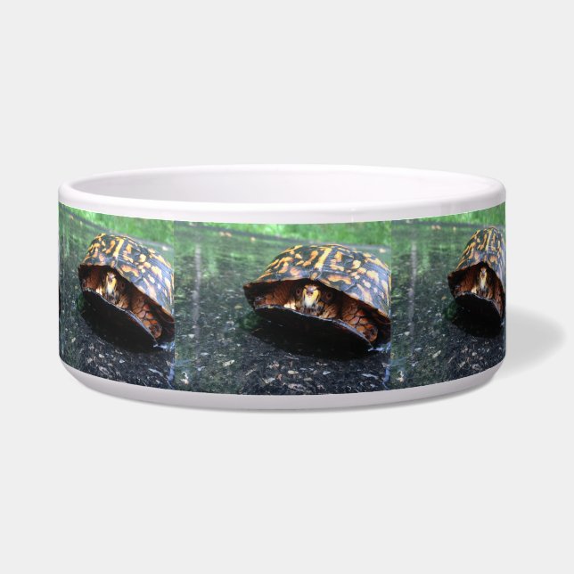 Kastenschildkröte Napf (Vorderseite)