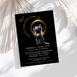 Kat 2024 Gesamtes Party zur Sonneneinstrahlung Einladung