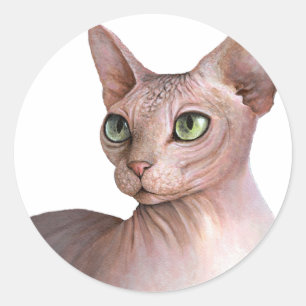 Kat 578 Sphynx, weißer Hintergrund Runder Aufkleber