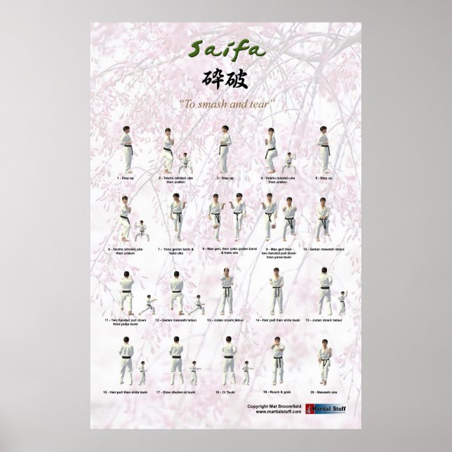 Kata Saifa - GKR-Version Poster (Vorne)