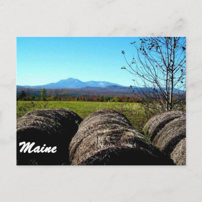 Katahdin, MICH. Postkarte (Vorderseite)