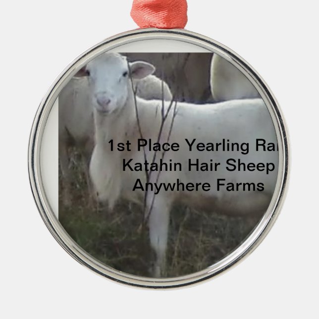 Katahin Haar-Schafe Ornament Aus Metall (Vorne)