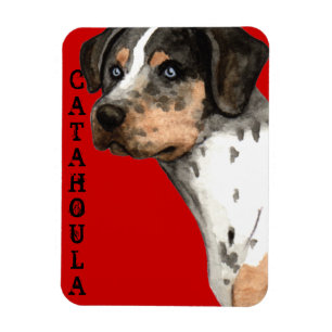 Katahoula-Farbblock Magnet