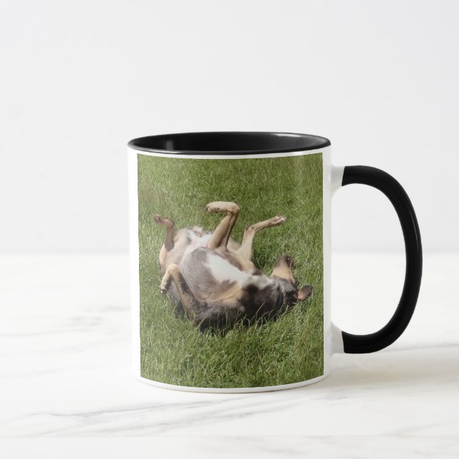 Katahoula Leopard Dog Rolling in Gras Tasse (Rechts)
