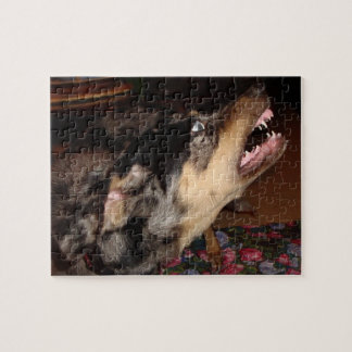 Katahoula Leopard Hund zeigt Zähne Puzzle