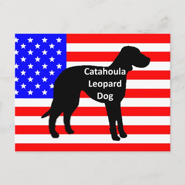 Katahoula-Silhouette auf der Flagge Postkarte (Vorderseite)