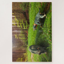 Katahoula und Hog Puzzle