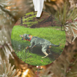 Katahoula und Wild Hog Ornament