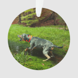 Katahoula und Wild Hog Ornament