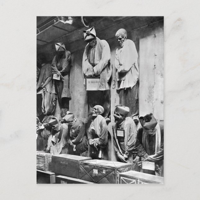 Katakombenmuscheln in Palermo, Italien Postkarte (Vorderseite)