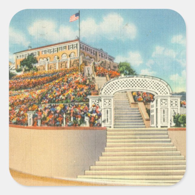 Katalina Quadratischer Aufkleber (Vorderseite)