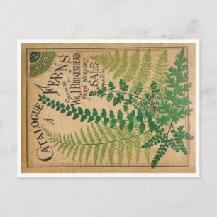 Katalog der Farne Postkarte