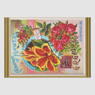 Katalog der Saatgutbedeckung 1896 Richmond Indiana Seidenpapier