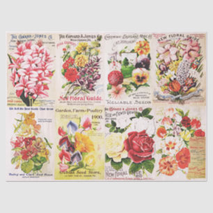 Katalog der Vintagen Blume Seidenpapier