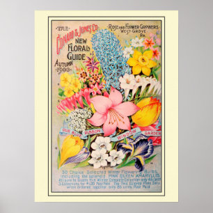 Katalog mit Vintage-Gartensamen Poster