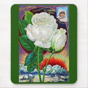 Katalogbild der 1890er Jahre White Rose Mousepad
