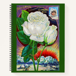 Katalogbild der 1890er Jahre White Rose Notizbuch