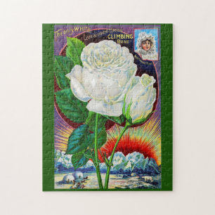 Katalogbild der 1890er Jahre White Rose Puzzle