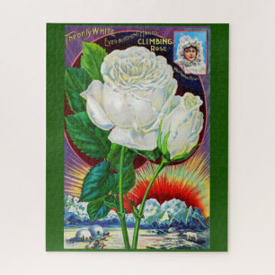 Katalogbild der 1890er Jahre White Rose Puzzle