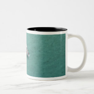 Katamaran, Mamanuca-Inseln, Fidschi, Südpazifik Zweifarbige Tasse