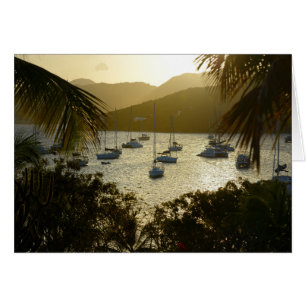 Katamarane und Segelboote