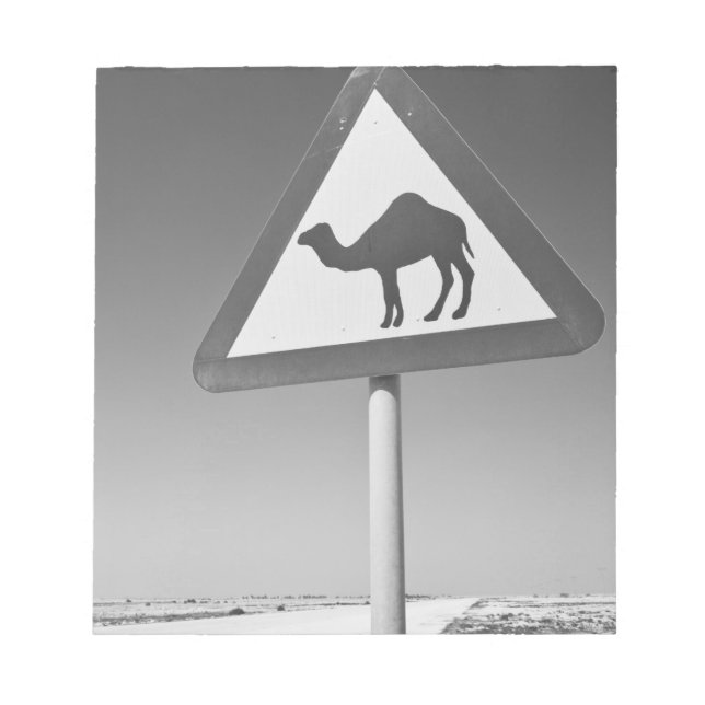 Katar, Al Zubarah. Camel Crossing Road Notizblock (Vorderseite)