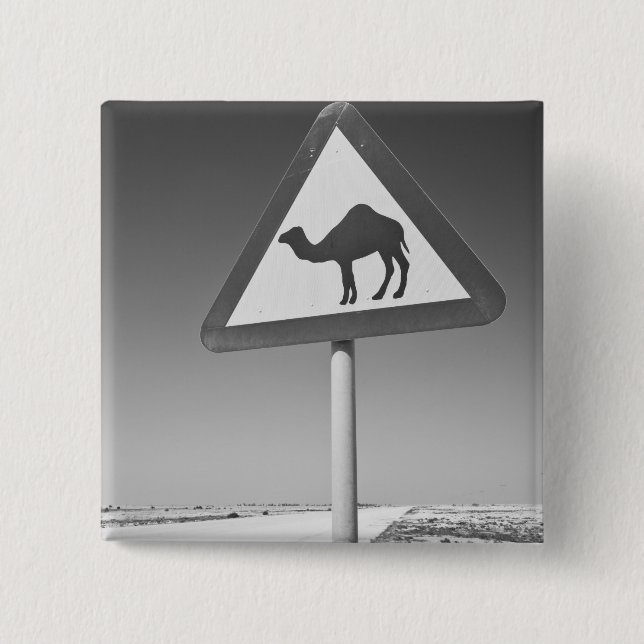 Katar, Al Zubarah. Kamelüberquerungsschild-Straße  Button (Vorderseite)