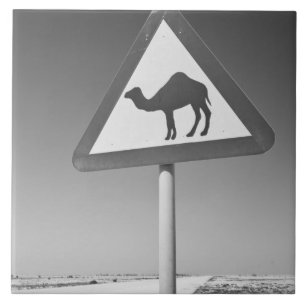 Katar, Al Zubarah. Kamelüberquerungsschild-Straße  Fliese