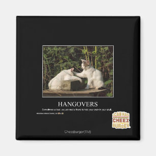 Kater Magnet