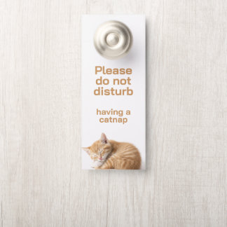 Katerchen Türanhänger