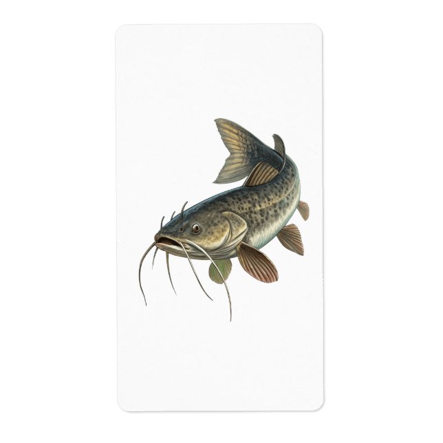 Katfisch (Vorne)