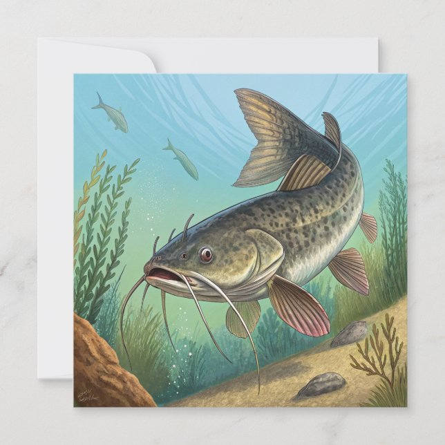 Katfisch (Vorderseite)