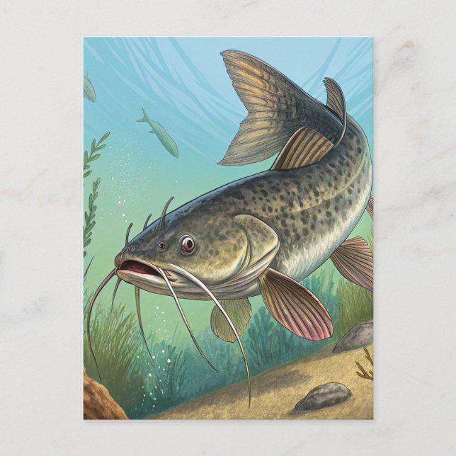 Katfisch Feiertagspostkarte (Vorderseite)