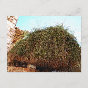 Katharina-Kloster, Südsinai, Ägypten Postkarte