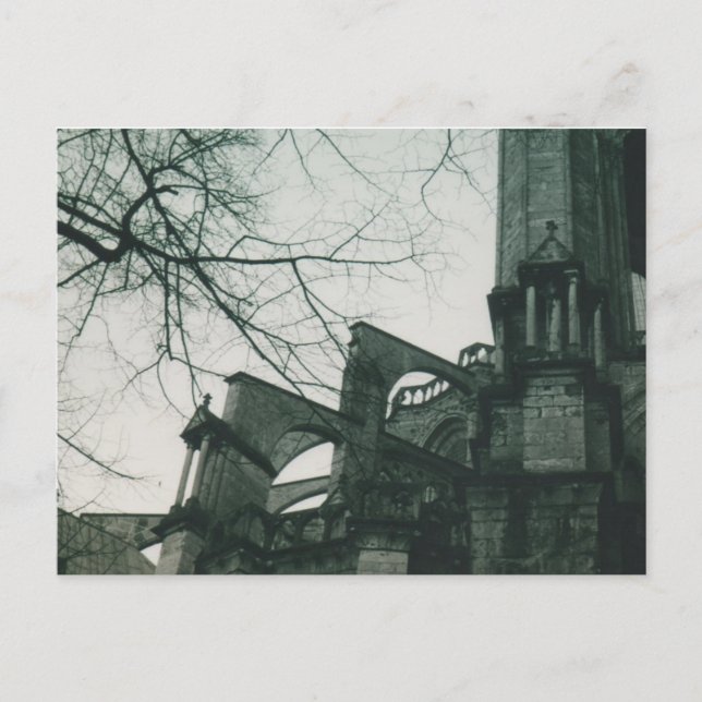 Kathedrale Chartres (Notre Dame de Chartres) Postkarte (Vorderseite)