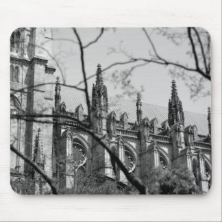Kathedrale im Frühjahr Mousepad