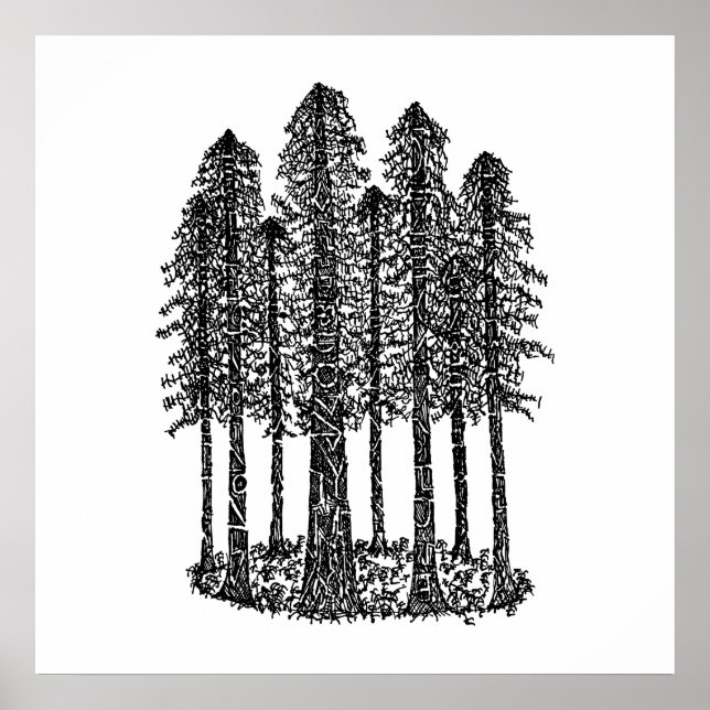Kathedrale Ring (Coastal Redwoods Sketch) Poster (Vorne)