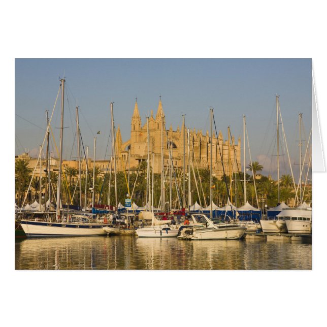 Kathedrale und Hafen, Palma, Mallorca, Spanien 2 (Vorderseite (Horizontal))